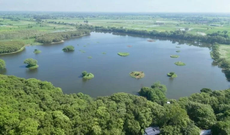 जैव विविधता परियोजना MoEFCC NBA